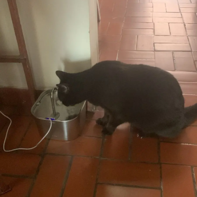 Review by Aurélie F.