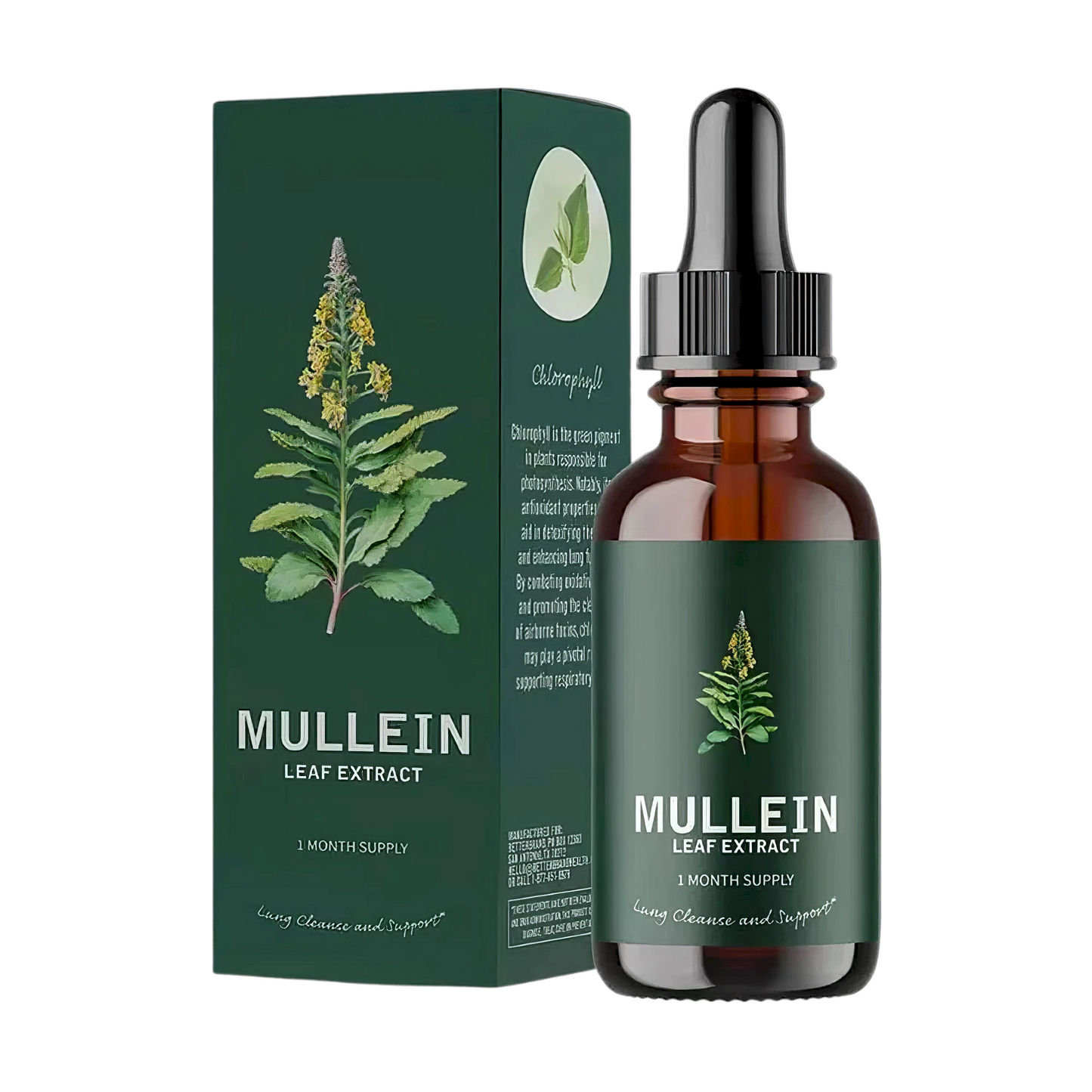 Solaz™ Mullein & Chlorophyll Extract