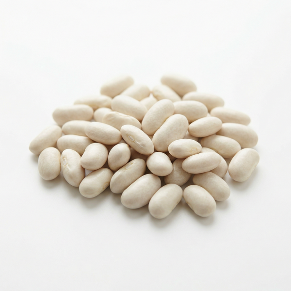 Haricot blanc