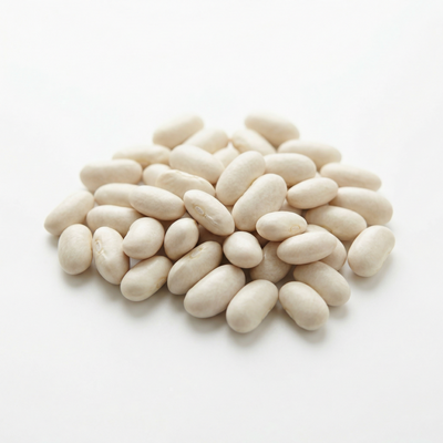 Haricot blanc