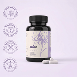 L'Aube Svelte – Nighttime Metabolism & Energy
