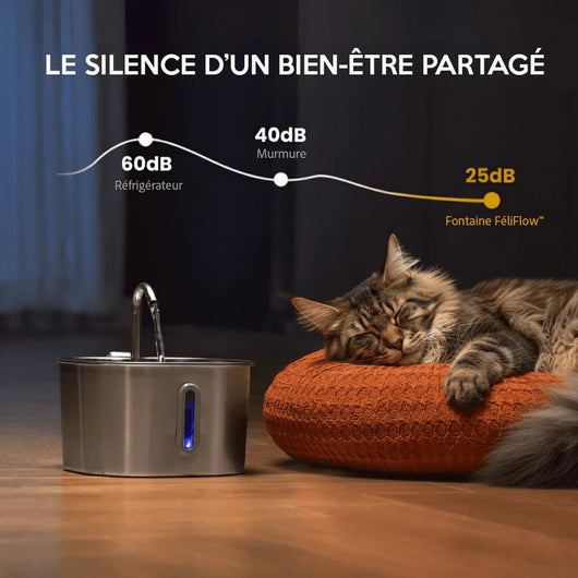 Solaz™ - Fontaine à eau pour chats - Solaz